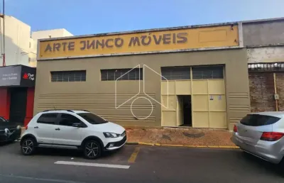 Barracão / Galpão / Depósito para alugar na Rua Doutor Joaquim de Abreu Sampaio Vidal, 453, Alto Cafezal, Marília