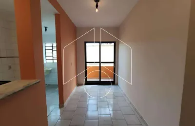 Apartamento com 2 quartos para alugar na Rua Conceição Faria de Aguiar, 1152, Jardim São Gabriel, Marília