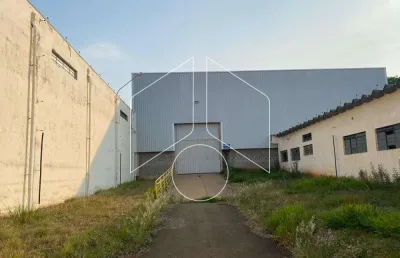 Barracão / Galpão / Depósito para alugar na Avenida Eugênio Coneglian, 5088, Distrito Industrial, Marília