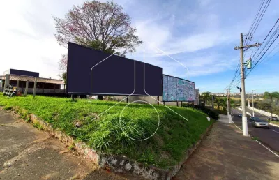 Terreno comercial para alugar na Avenida Sampaio Vidal, 0, 86, Barbosa, Marília