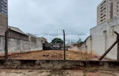 Terreno comercial para alugar na Rua Sete de Setembro, 2109, Alto Cafezal, Marília
