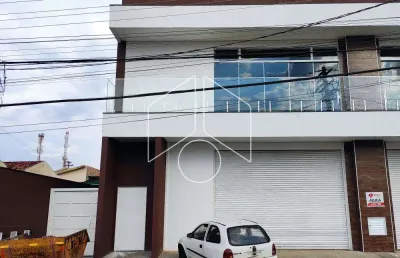 Barracão / Galpão / Depósito para alugar na Avenida Maria Fernandes Cavallari, Salão 1, 3, 20256, Jardim Cavallari, Marília