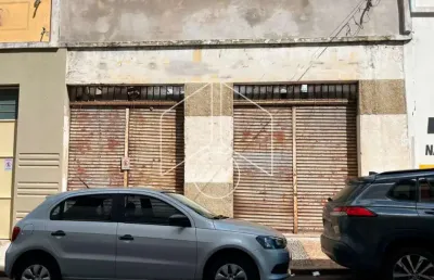 Barracão / Galpão / Depósito para alugar na Rua Doutor Joaquim de Abreu Sampaio Vidal, 586, Alto Cafezal, Marília