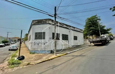 Barracão / Galpão / Depósito para alugar na Rua Rodrigues Alves, 2097, Alto Cafezal, Marília