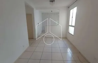 Apartamento com 2 quartos para alugar na Avenida Doutor Hércules Galletti, Bloco 18, 3112, Jardim Califórnia, Marília