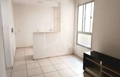 Apartamento com 2 quartos para alugar na Avenida Doutor Hércules Galletti, Bloco 14, 3117, Jardim Califórnia, Marília