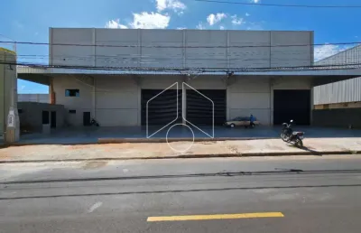 Barracão / Galpão / Depósito para alugar na Avenida República, 60754, Distrito Industrial Santo Barion, Marília
