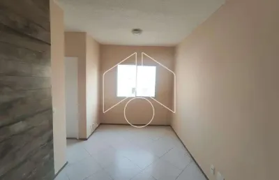 Apartamento com 2 quartos para alugar na Rua Santa Helena, Bloco D, 7162, Jardim Alvorada, Marília