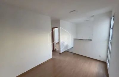 Apartamento com 2 quartos para alugar na Rua Abs Yasbek, 15, 1148, Vila Maria, Marília