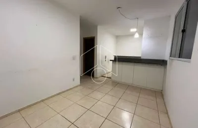 Apartamento com 2 quartos para alugar na Rua Benedito Alves Delfino, Bloco 11, 20855, Distrito Industrial, Marília