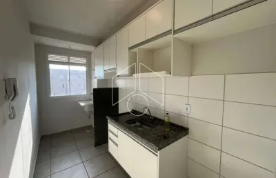 Apartamento com 2 quartos para alugar na Rua Arcidio Stroppa, 08, 777, Distrito Industrial, Marília