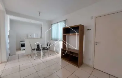Apartamento com 2 quartos para alugar na Avenida Doutor Hércules Galletti, Bloco 12, 3118, Jardim Califórnia, Marília