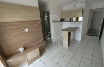 Apartamento com 2 quartos para alugar na Avenida Martim Afonso, Bloco 12, 864, Jardim Monte Castelo, Marília