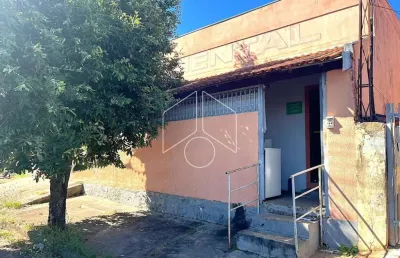 Barracão / Galpão / Depósito para alugar na Rua Guararapes, 1081, Jardim Monte Castelo, Marília