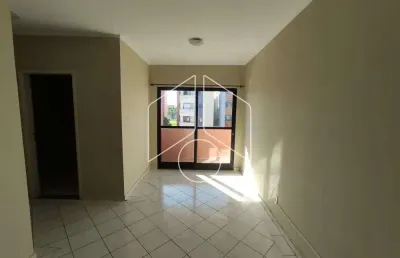 Apartamento com 2 quartos para alugar na Rua Oscar Muniz Sampaio, 2127, Jardim Araxá, Marília