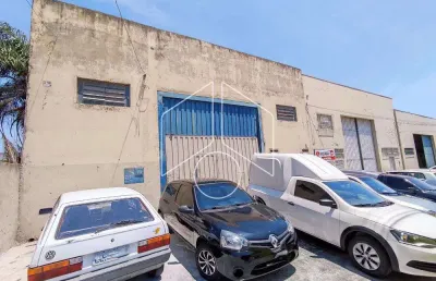 Barracão / Galpão / Depósito para alugar na Rua Marcos Bortion, 8165, Jardim Santa Antonieta, Marília