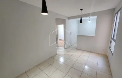 Apartamento com 2 quartos para alugar na Avenida Doutor Hércules Galletti, Bloco 1, 3076, Jardim Califórnia, Marília