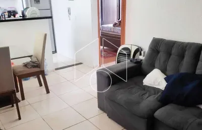 Apartamento com 2 quartos para alugar na Avenida Doutor Hércules Galletti, Bloco 20, 2145, Jardim Califórnia, Marília