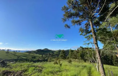 Terreno comercial à venda na Toledo - Mg, 02, Pinhal grande, Toledo