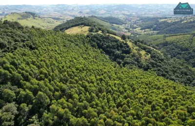 Terreno à venda, 96000 m² por r$ 400.000,00 - centro - pedra bela/sp