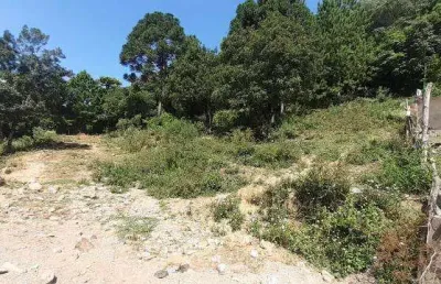 Terreno comercial para alugar na Cidade Nova, Caxias do Sul 