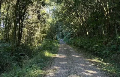 Chácara / sítio à venda no Centro, Caxias do Sul 