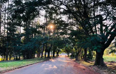 Terreno à venda em campinas, swiss park, com 798 m²