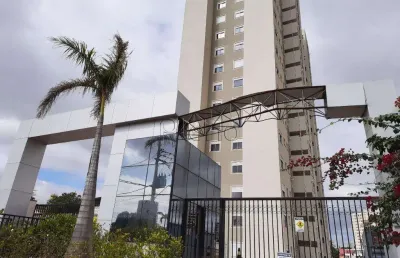 Apartamento à venda com 2 quartos na vila industrial em campinas