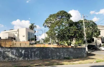 Terreno à venda e para alugar em campinas, nova campinas, com 925 m²
