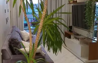 Apartamento à venda em campinas, jardim antonio von zuben, com 3 quartos, com 74 m²