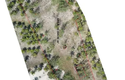 Terreno à venda na Praça Vinte e Nove de Janeiro, Povoado Maracajau, Maxaranguape