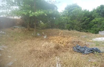 Terreno 1,607m2 comercial ou incorporação predial em patamares