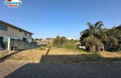 Terreno à venda na Rua Vereador Antônio Fabrício Da Silva, Vila Solene, Campo Largo
