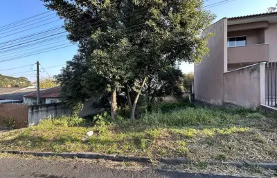 Terreno lote para venda em vila solene campo largo-pr