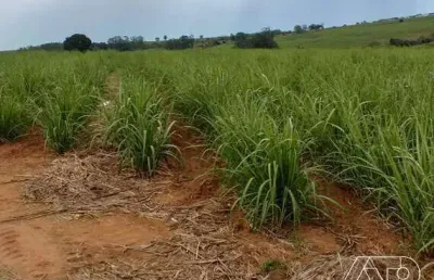 Terreno à venda no Centro, Tietê 