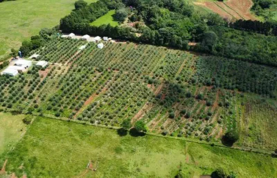Ponto comercial à venda no Dos gomes, São Pedro 