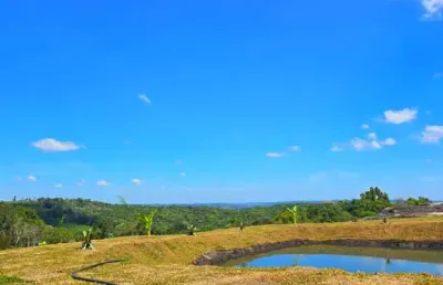 Chácara / sítio com 1 quarto à venda em São Luiz do Purunã, Balsa Nova 