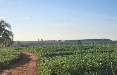 Fazenda à venda na Rodovia BR 290, 5600, Parque Guaíba, Eldorado do Sul