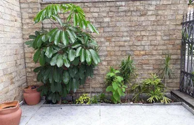 Casa com 4 quartos à venda na Rua Francisco Zicardi, Jardim Anália Franco, São Paulo