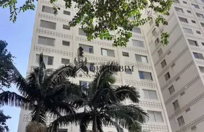 Apto. 3 dorms, piscina-parque são jorge, sem vaga -cod: 8704