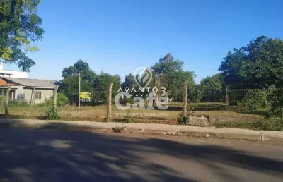 Terreno 1200 m², localizado em rua asfaltada; - bairro são joão