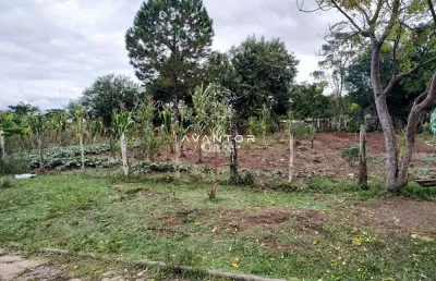 Excelente terreno plano 12x30m pronto para construir no bairro pinheiro machado