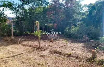 Terreno à venda na Rua Domingues Bertazzo, SN, Chácara das Flores, Santa Maria