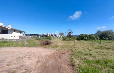 Amplo terreno com 768 m² de área em ótima localização em pé de plátano.