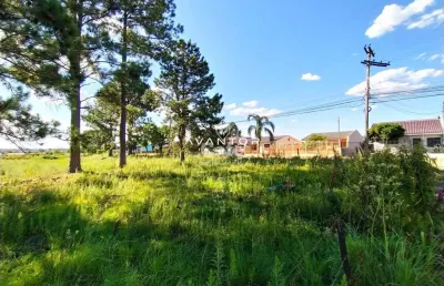 Terreno à venda na Rua Engenheiro Adi João Forgiarini, SN, Pinheiro Machado, Santa Maria