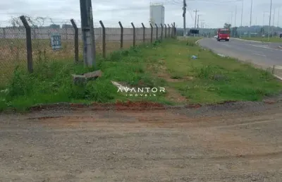 Excelente oportunidade para locação terreno plano em frente a br 392 medindo 30x