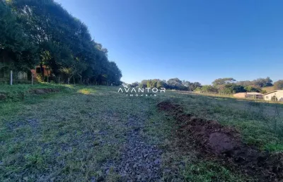 Terreno à venda na Estrada Pau A Pique, 1, Passo das Tropas, Santa Maria