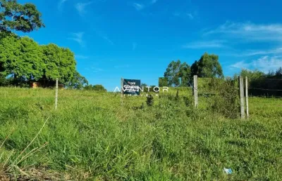 Terreno amplo para construção de pavilhões - beira de estrada