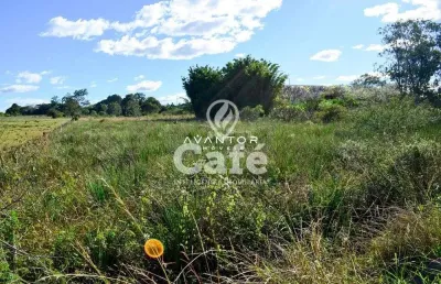Terreno à venda na Rodovia BR-158, 639, Pinheiro Machado, Santa Maria