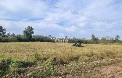 Terreno à venda na Rua Angelim, S N, Diácono João Luiz Pozzobon, Santa Maria